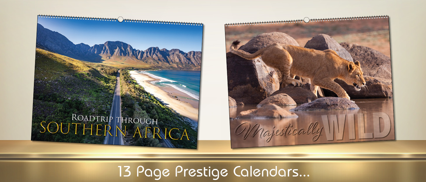 BOTTOM PAGE SLIDERS - ALL 2027