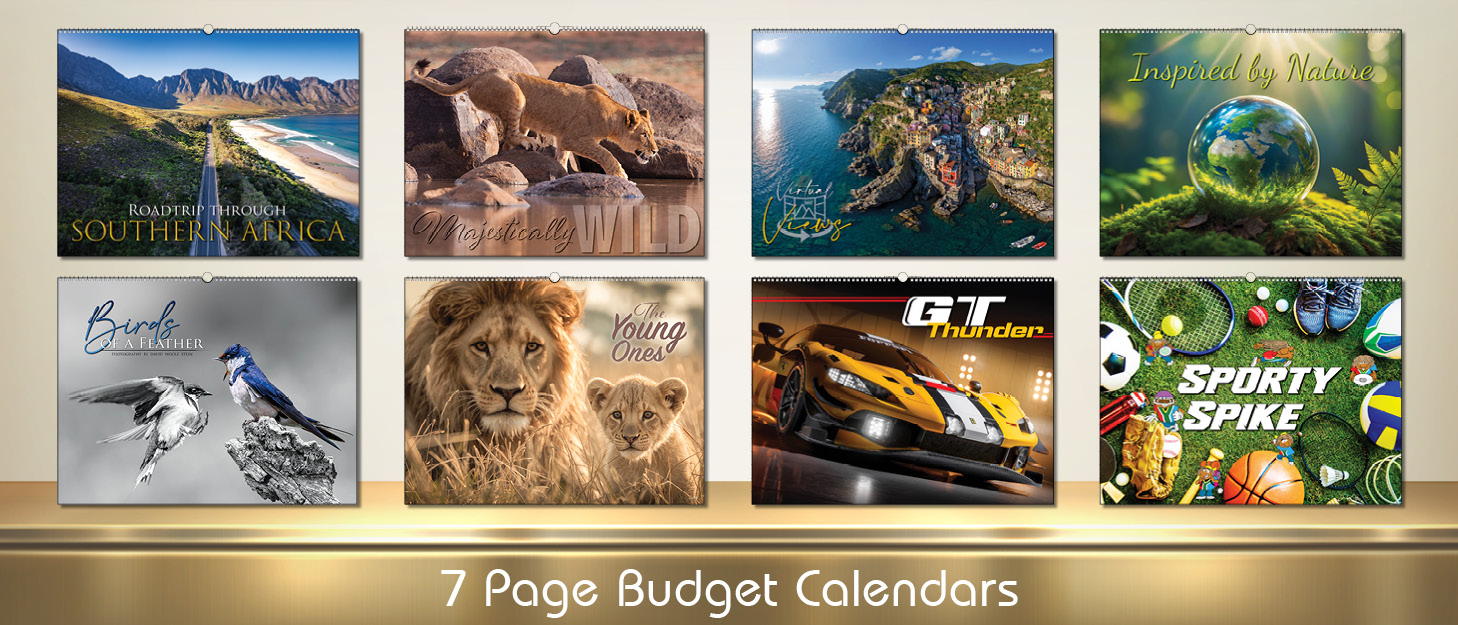 BOTTOM PAGE SLIDERS - ALL 20273