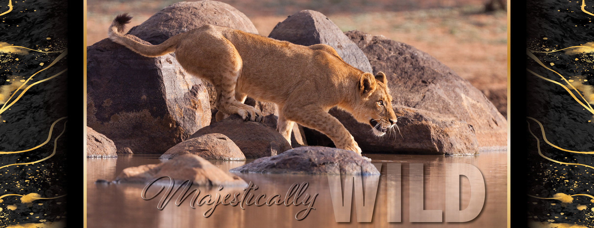 MAIN WEBSITE BANNER 20273