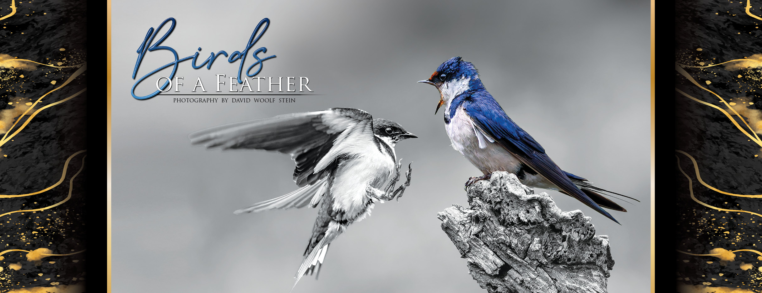 MAIN WEBSITE BANNER 20276